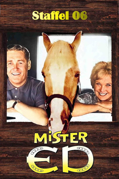 Staffel 6