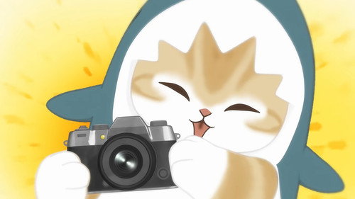 Say Cheese