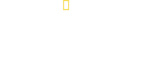 Killer Shark Vs. Killer Whale