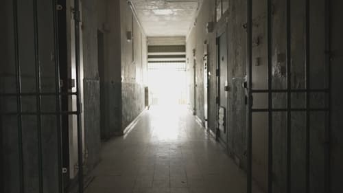 Deaths in Solitary Confinement: The Prison System's Blind Spot