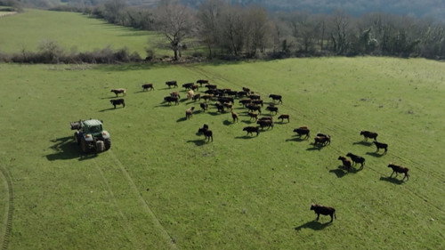Dans la peau des premiers paysans français
