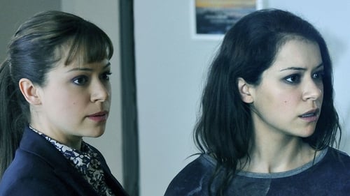 Orphan Black: 2×7