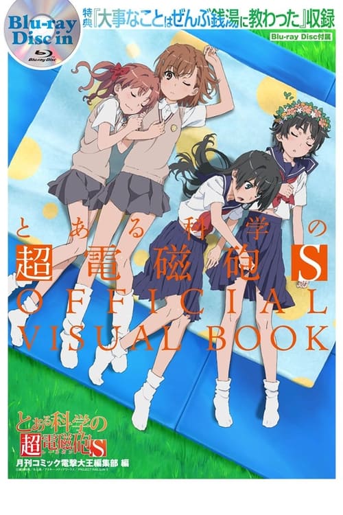 A Certain Scientific Railgun S: All the Important Things I Learned in a Bathhouse (2014)