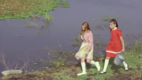 Poison for the Fairies — still 21