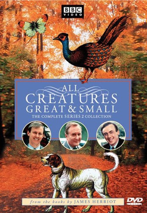 Where to stream All Creatures Great and Small Season 2