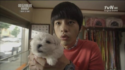 Poster della serie Reply 1997