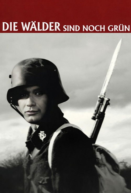 Die Wälder sind noch grün