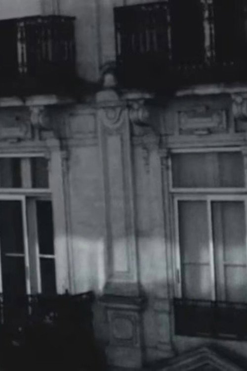 Afternoons in Montpellier