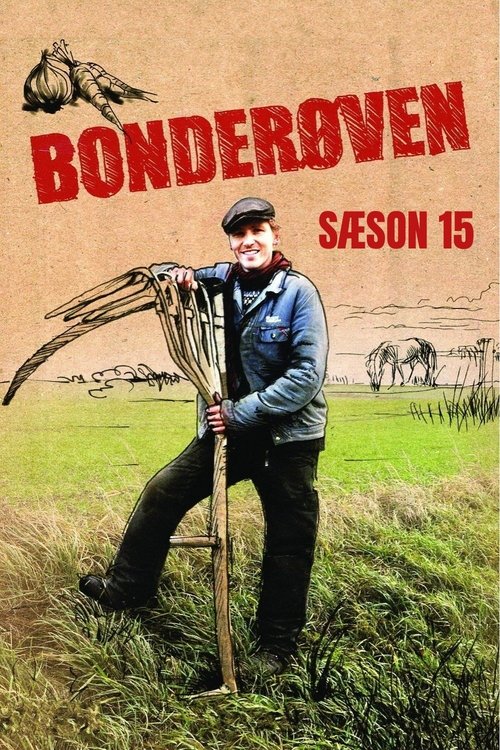 Poster de la saison 15