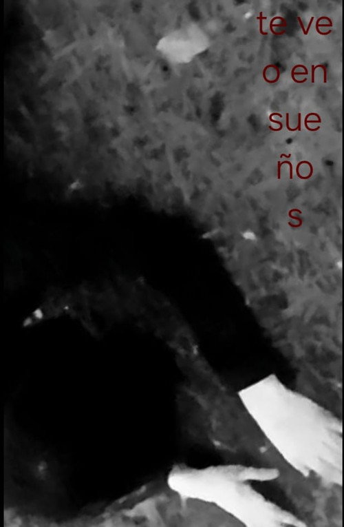 I See You in Dreams