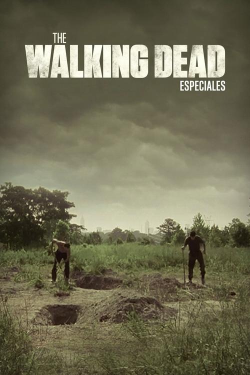 Poster de la Temporada 0 en la serie The Walking Dead