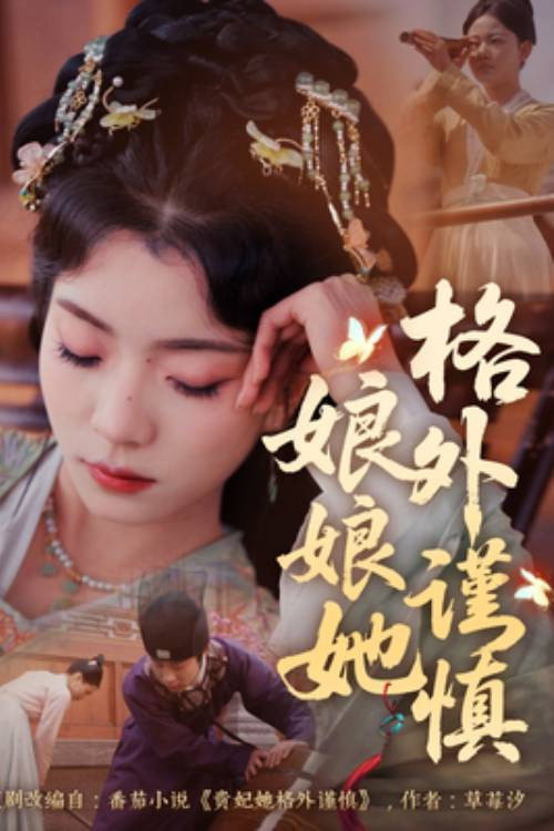 Póster oficial de 娘娘她格外谨慎