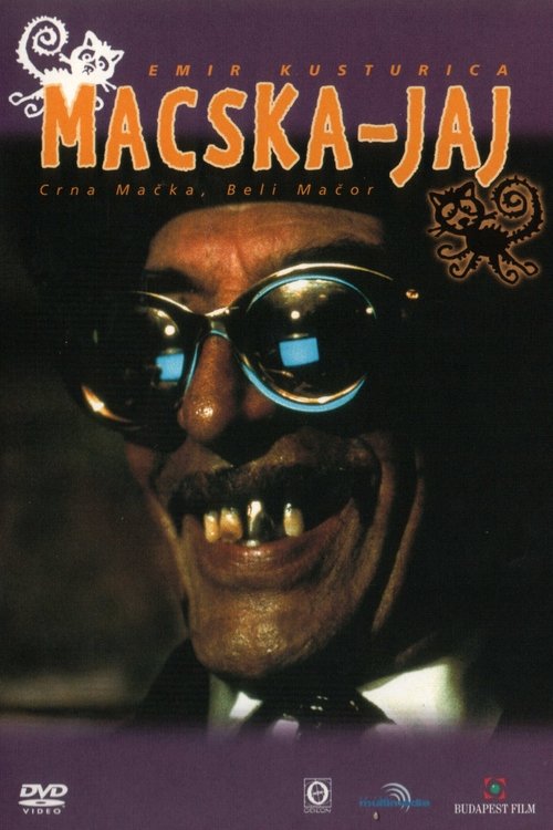 Macska-jaj movie poster player