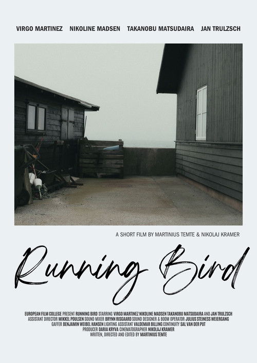 Running Bird