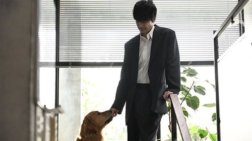 Image de l'épisode 6