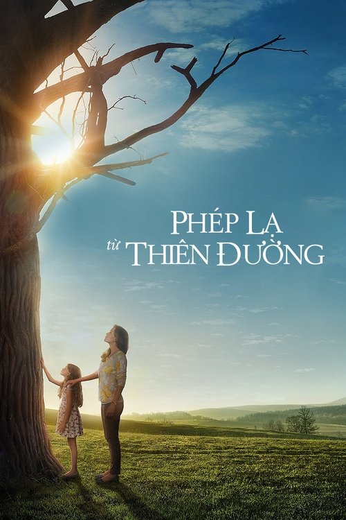 Poster Phép Lạ Từ Thiên Đường