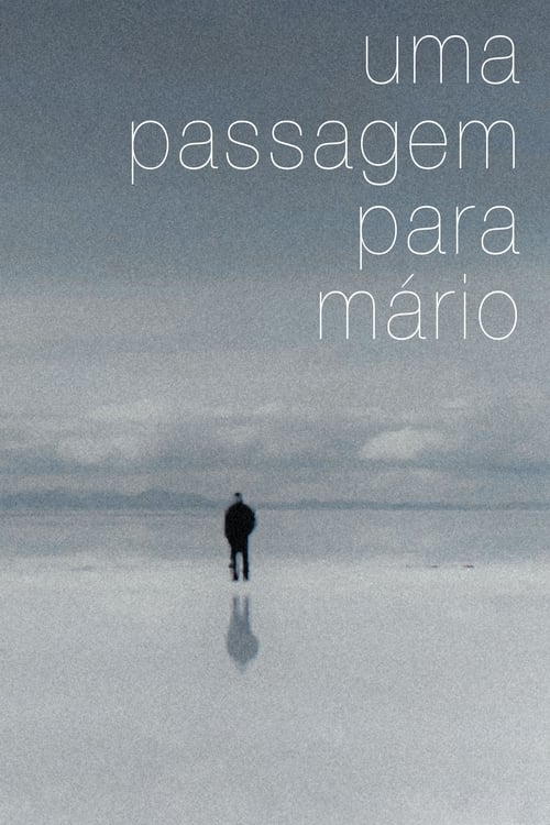 A Journey for Mário 2013