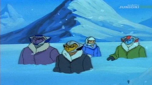 Visite guidée au Pôle Nord