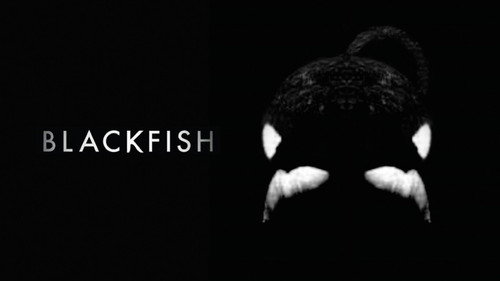 Blackfish