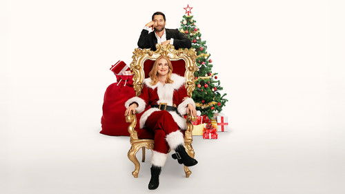 我的秘密圣诞老人