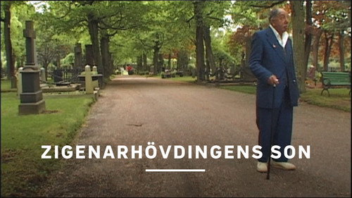 Zigenarhövdingens son Backdrop Blur