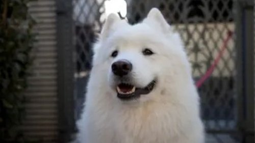 Image de l'épisode 6