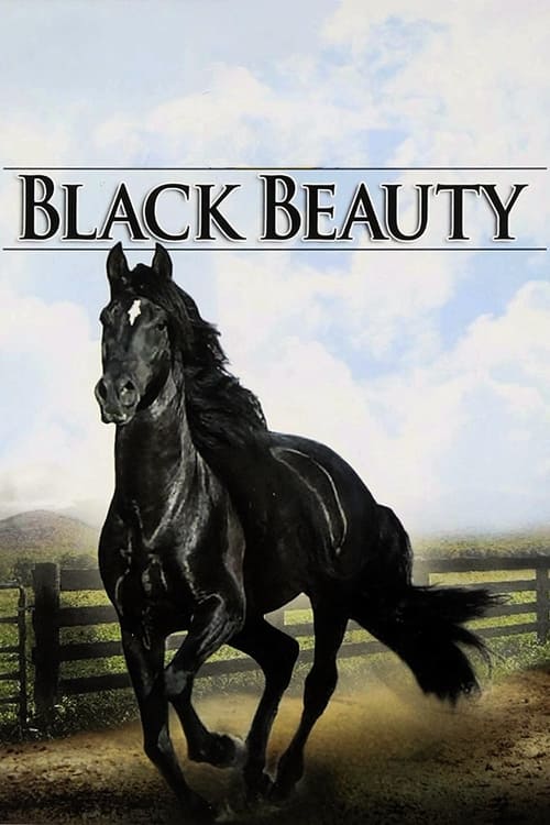 Poster Black Beauty