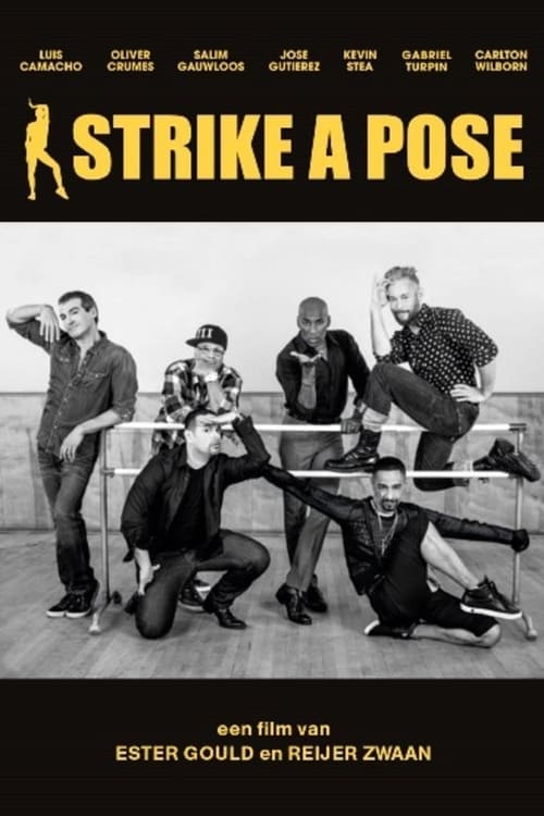 Strike a Pose (2016) poster