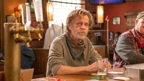 Shameless: 11×8