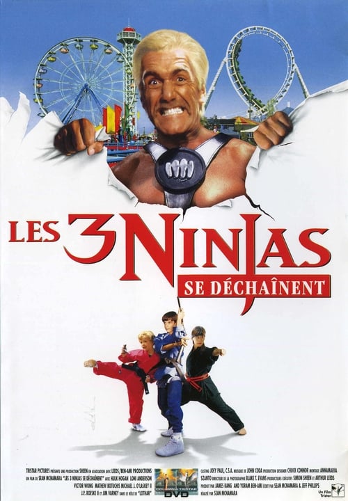 Ninja Kids 4 : Les 3 Ninjas se déchaînent (1998)