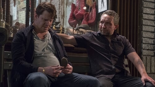 Ray Donovan: 6×6