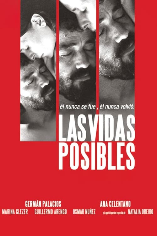 Las vidas posibles (2008) poster