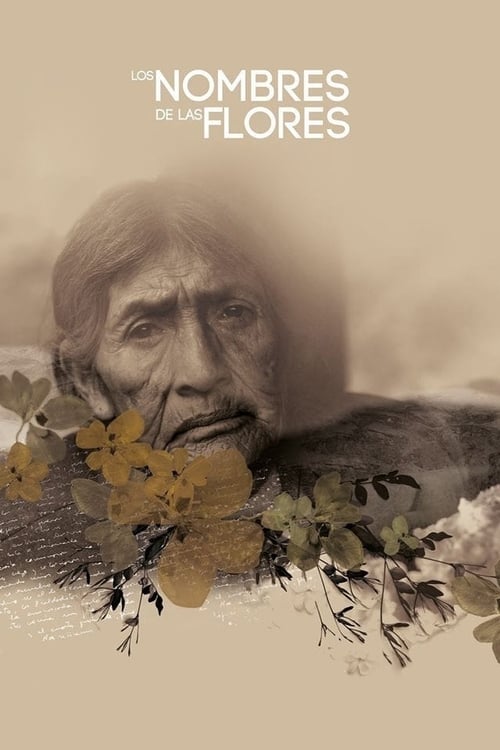 Los Nombres de las Flores poster