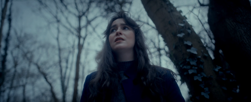 Vanishing Line