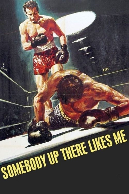 Somebody Up There Likes Me poster