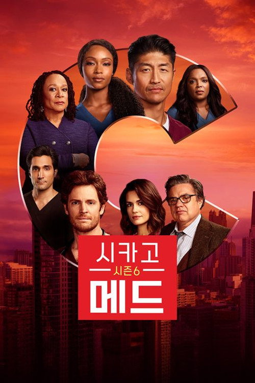 시카고 메드 시즌 6 포스터