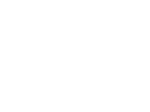 The Good Half