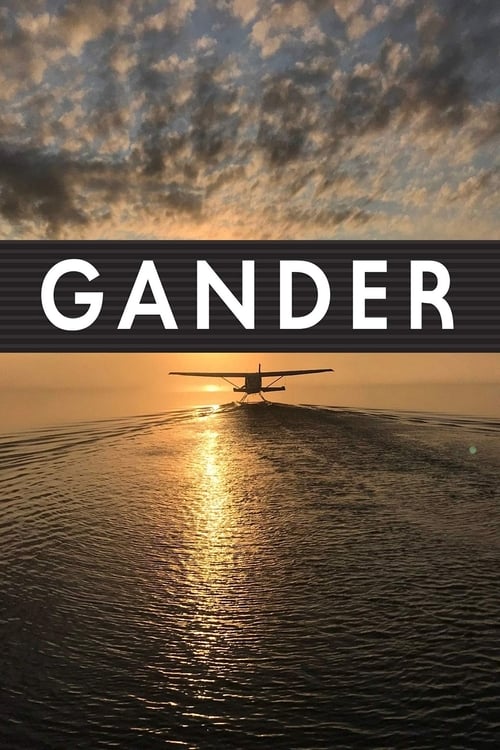 Poster Gander International: The Airport in the Middle of Nowhere 2019