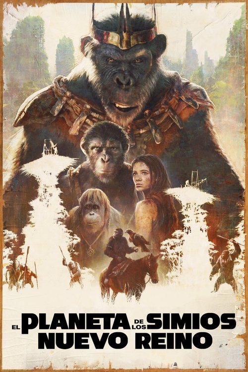 Posters