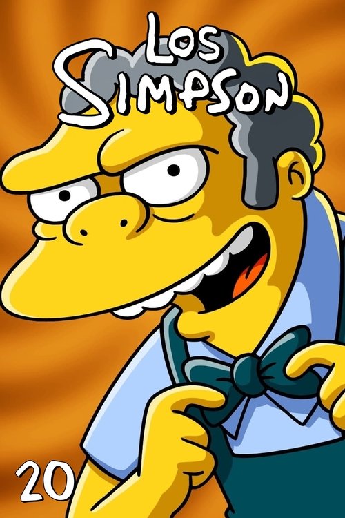 Poster de la Temporada 20 en la serie Los Simpson