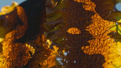 Image de l'épisode 4