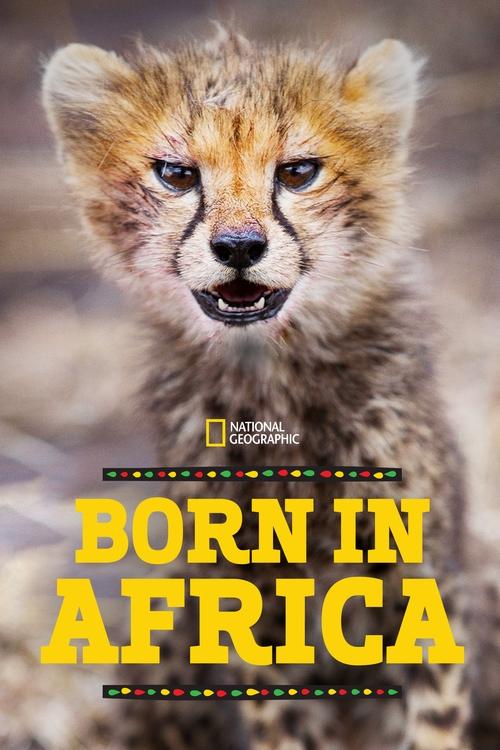 Where to stream Born in Africa Season 1