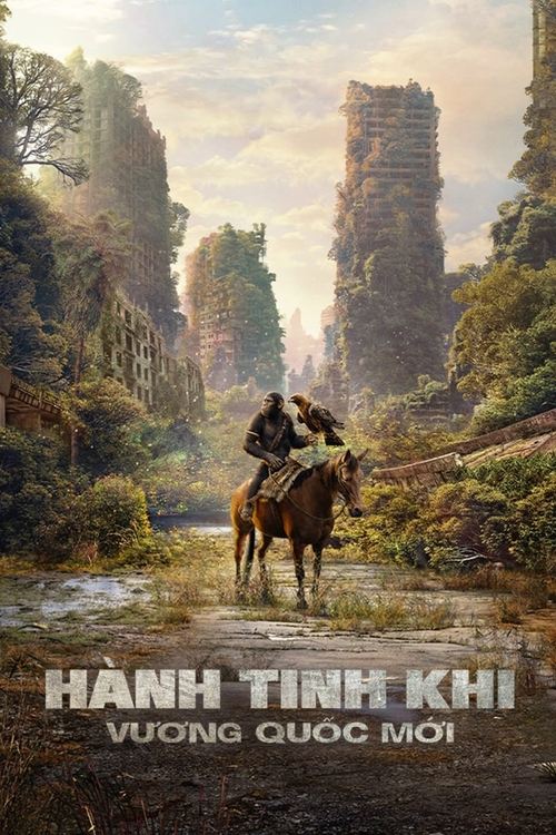 Posters