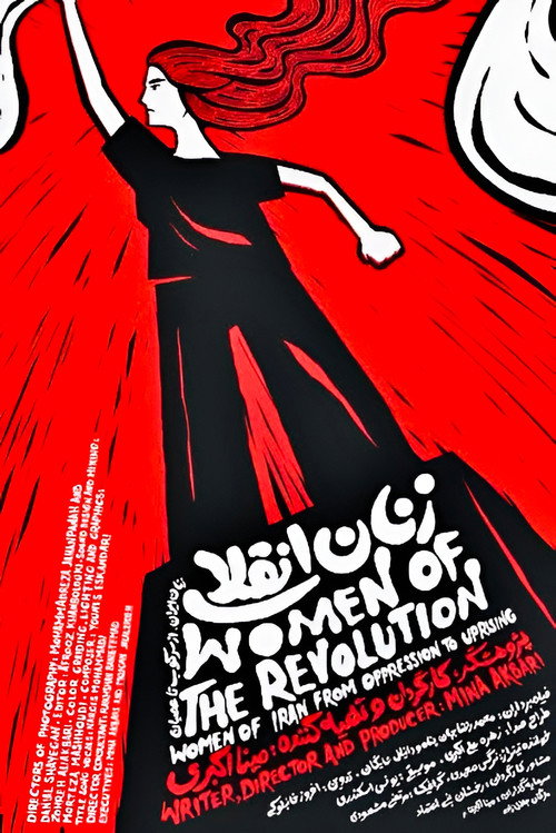 Women of Revolution poster