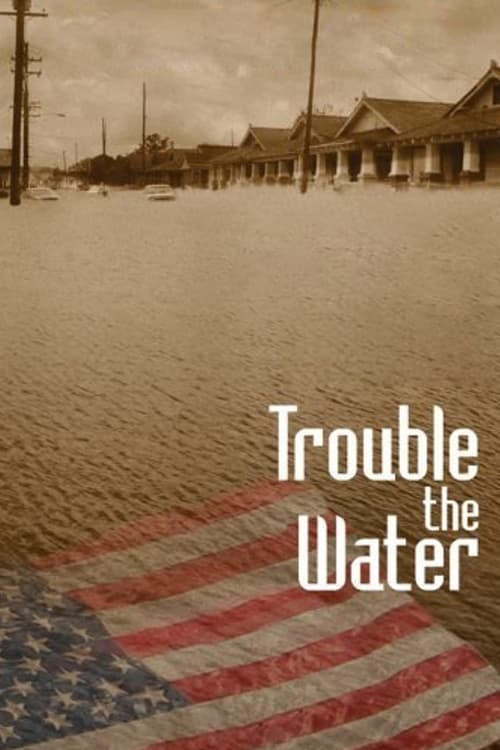 Poster Trouble the Water 2008