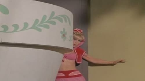 Poster della serie I Dream of Jeannie