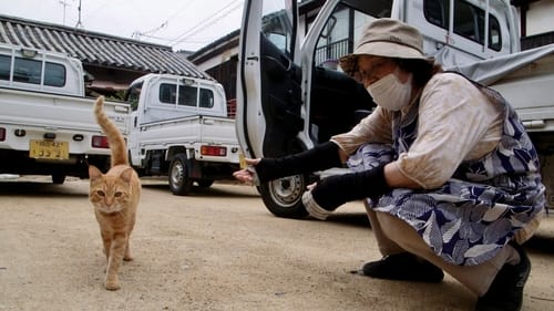 The Cats of Gokogu Shrine