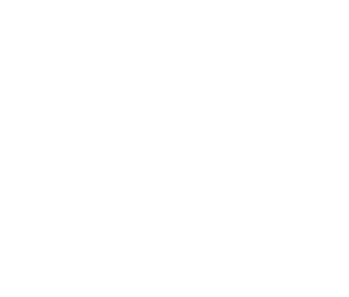 My Life Is a Circus