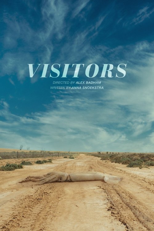 Visitors (2021)