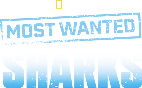 Most Wanted Sharks